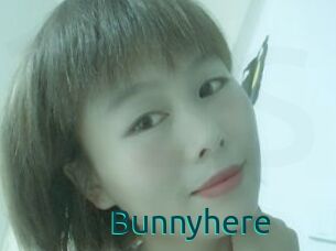Bunnyhere
