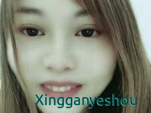 Xingganyeshou